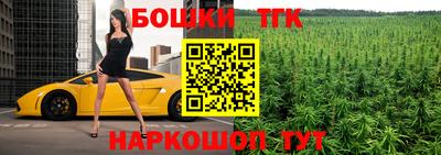шишки Гатчина