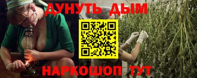 шишки Гатчина