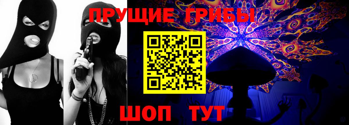 Жигулёвск  Псилоцибиновые грибы GOLDEN TEACHER  купить   Вход с VPN 